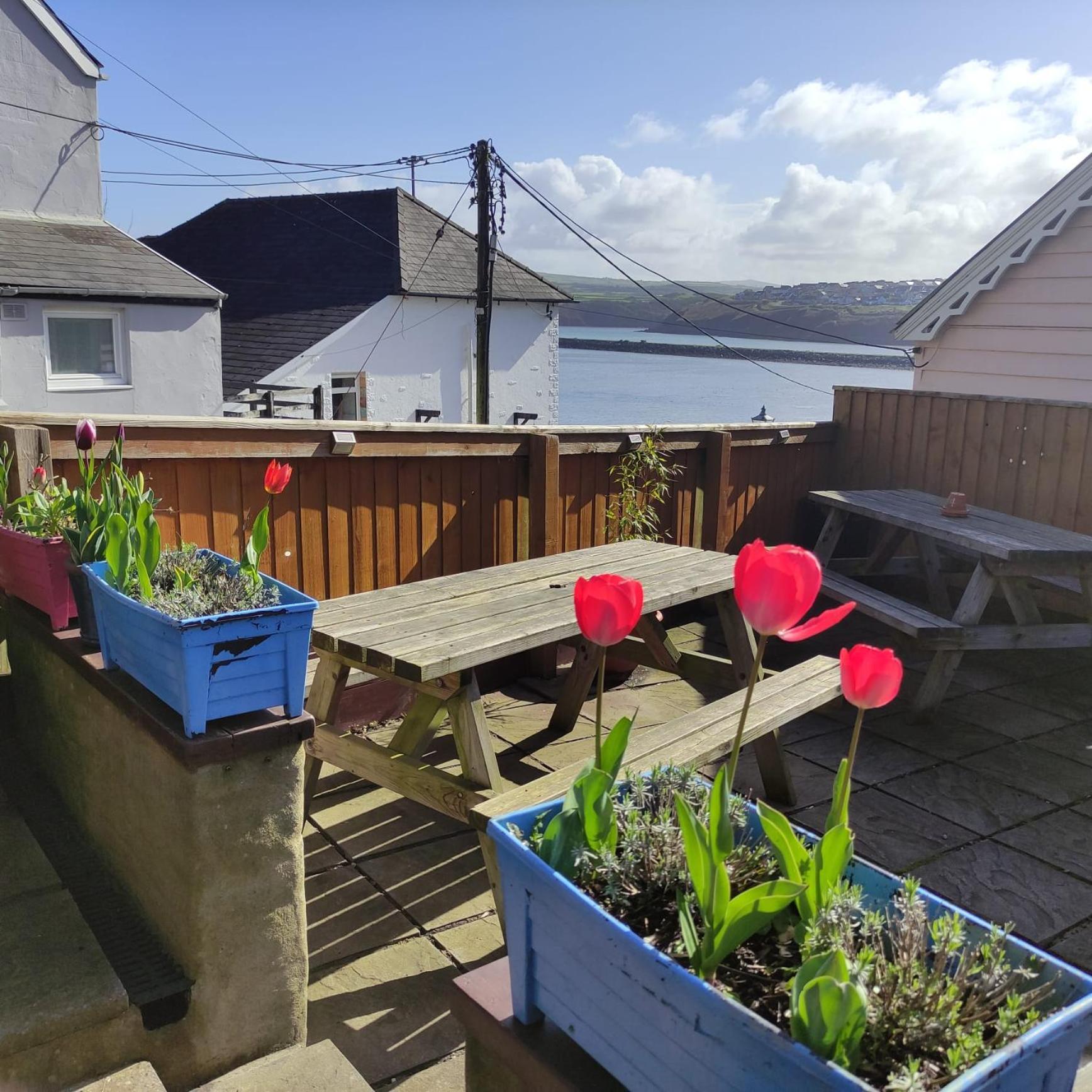 Rose And Crown Hotel & Hope And Anchor Bar Goodwick Exterior foto